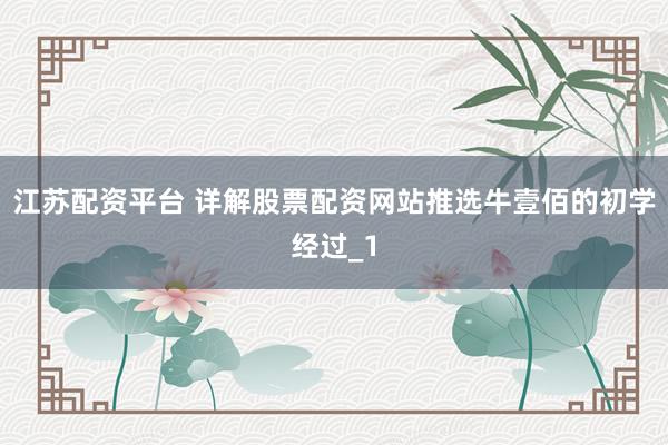 江苏配资平台 详解股票配资网站推选牛壹佰的初学经过_1